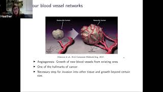 Heather Harrington 121018 Multiparameter persistent homology and applications [upl. by Jo Ann261]