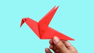 How to make an Origami Paper Bird  Paper Folding Craft Tutorials [upl. by Acinomad721]