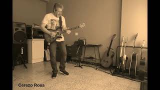 Cerezo Rosa  Perez Prado  Guitar Cover by Antonio Ormaechea [upl. by Aneema]