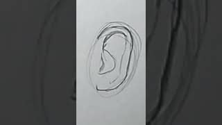 Short oreja para comic [upl. by Morentz670]