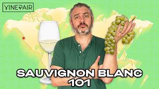 Everything You NEED to Know About Sauvignon Blanc  Asking a Sommelier [upl. by Nnylecoj]