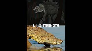 Niloticus Vs Nile Crocodile [upl. by Haziza663]