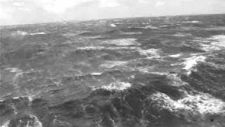 Ferry Crossing from Newfoundland to Nova Scotia [upl. by Nirrol]