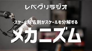 【なぜ落ちる⁉️】今さら聞けないスケール除去剤のメカニズム [upl. by Miche280]