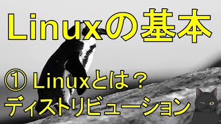 【丁寧に学ぶLinux入門】 ①Linuxとは？ ディストリビューション（Ubuntu RedHat CentOS Devian） [upl. by Philippa]