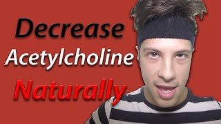 7 Ways to DECREASE Acetylcholine Naturally [upl. by Dibrin923]