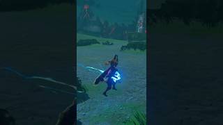 BOTW Glitch The Legend of Zelda Breath of the Wild [upl. by Sinnaoi]