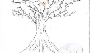 PERSONALIDAD Y TEST DEL ARBOL [upl. by Vasya]