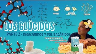 Los Glúcidos Parte 2 Disacáridos y polisacáridos  2º de Bach BioESOsfera [upl. by Nnylesor12]