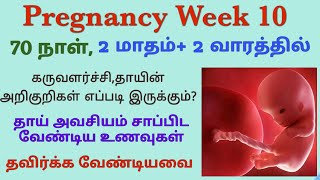 வாரம் 20  Pregnancy  Tamil  Week 20 [upl. by Larrad593]