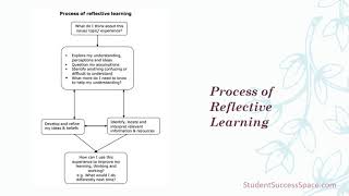 Reflection Process within Deep Learning [upl. by Adlesirg]