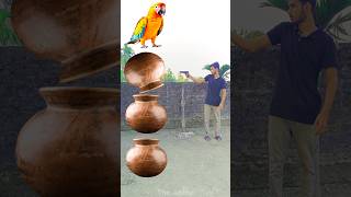 Rounding clay matka to Duck Peacock Pigeon amp Parrot  Birds names magic video [upl. by Anazraf]