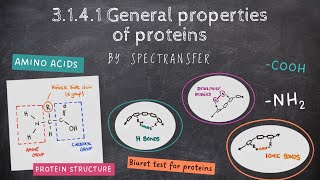 EASY REVISION AQA Alevel Biology 3141 General properties of proteins by SpecTransfer [upl. by Llezniuq]