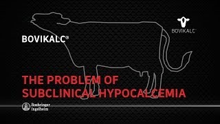 The Problem of Subclinical Hypocalcemia [upl. by Doy]