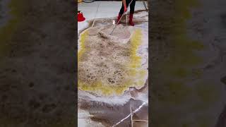 carpertcleaningwithheavyfoam very dirty carpet cleaning with hand shorts carpetcleaning [upl. by Namyac]