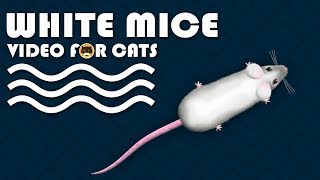 CAT GAMES  Catching White Mice Mouse Video for Cats to Watch  CAT amp DOG TV [upl. by Aleece596]