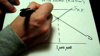 Supply and Demand With a Price Floor Surplus Price Control Economics Surplus [upl. by Kenneth]