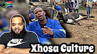 AMERICAN REACTS to THE TRUTH ABOUT XHOSA PEOPLE’S CULTURE ❤️ [upl. by Bedwell]