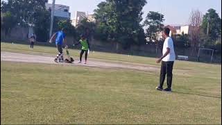 dha dolphins vs dha tigers match clip [upl. by Zetnwahs]