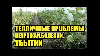 ПЕЧАЛЬНЫЙ ОПЫТ Огурец второй оборот [upl. by Petrine]