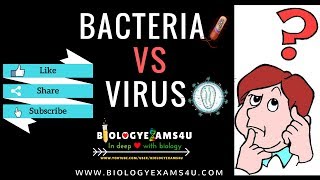 Difference between Virus and Bacteria Virus vs Bacteria [upl. by Pine]