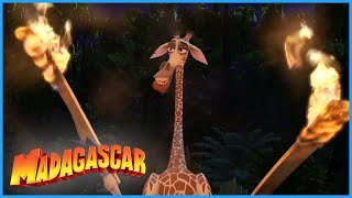 DreamWorks Madagascar  Melman creates fire  Madagascar  Kids Movies [upl. by Crean]