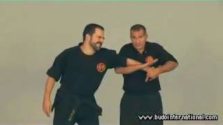 Kyusho Jitsu Gock´Ng ´Sing Evan Pantazi [upl. by Cila]