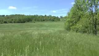 88 Acre Farm For Sale Blair County PA Views of the Land [upl. by Ardnik]