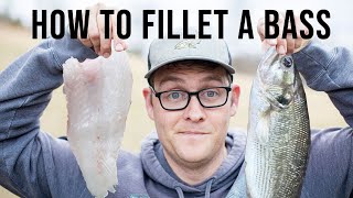 How to Fillet a Bass Spotted Bass [upl. by Oretna]