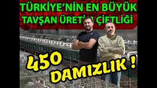 DEVASA ETLİK TAVŞAN ÜRETİM ÇİFTLİĞİ   8 AYDA BAŞARDI [upl. by Siddon]