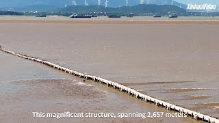 The beauty beneath Ancient stone bridge emerges from water in East China [upl. by Arturo]