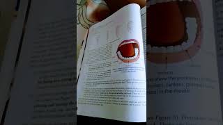 lakhmir singh class 7 nutrition in animals [upl. by Notgnihsaw174]