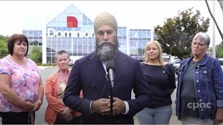 NDP Leader Jagmeet Singh talks grocery prices in NL– August 1 2023 [upl. by Goldstein970]