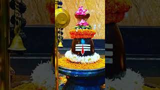 song music youtubeshorts mahadev  omnamahshivayomnamahshivay [upl. by Eylsel]