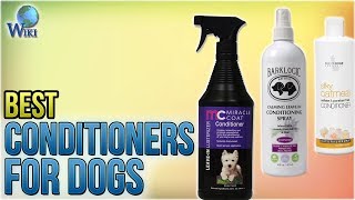 10 Best Conditioners for Dogs 2018 [upl. by Drhacir]