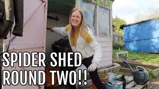 SPIDER SHED ROUND TWO  ALLOTMENT GARDENING FOR BEGINNERS [upl. by Hwu]