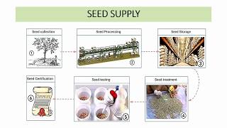 15 RPSCACF 2020  Silviculture  Lecture 72  Seed Supply [upl. by Amice984]