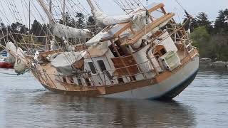 Video of Classic Schooner Statia Sailing Again after Being Refloated off Vancouver Island Goes Viral [upl. by Gaskill]