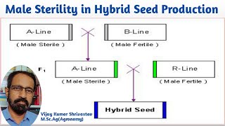 MALE STERILITY IN HYBRID SEED PRODUCTION [upl. by Ahselat]