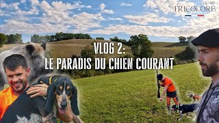 Le paradis du chien courant  Vlog 2  chasse dans le Gers [upl. by Woehick]