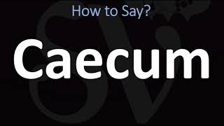 How to Pronounce Caecum CORRECTLY [upl. by Elleinod]