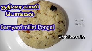 குதிரைவாலி வெண்பொங்கல் செய்வது எப்படி Barnyard millet pongal recipe in TamilKuthiraivali venpongal [upl. by Nymassej]