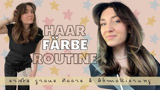 Haar Färbe Routine I Abmattierung amp 100  Grauhaarabdeckung [upl. by Namor162]