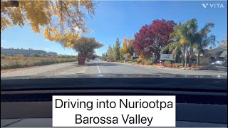 Driving into Nuriootpa Barossa Valley South Australia [upl. by Manda]