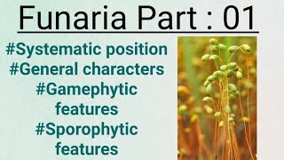 FunariaPart01General charactersGametophytic and sporophytic stage [upl. by Mistrot119]