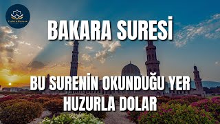 BAKARA SURESİ  OKUNDUĞU YER HUZUR DOLAR  Kuran Dinle [upl. by Candace49]