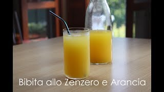 Bibita allo Zenzero Arancia e LimoneDjinibere [upl. by Cate]