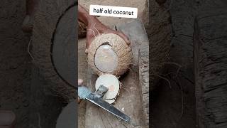 open half old coconut satisfying [upl. by Ellirpa290]