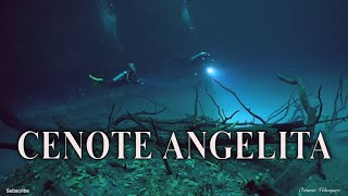 Cenote Angelita  Diving The Underwater River [upl. by Cowen]