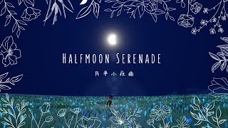 Sky 演奏Half moon serenade  Naoko Kawai （光遇：月半小夜曲） [upl. by Miltie]